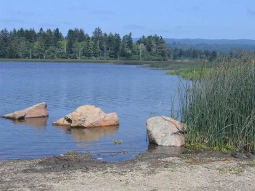 Lakeside Hostel & Guest House image 6